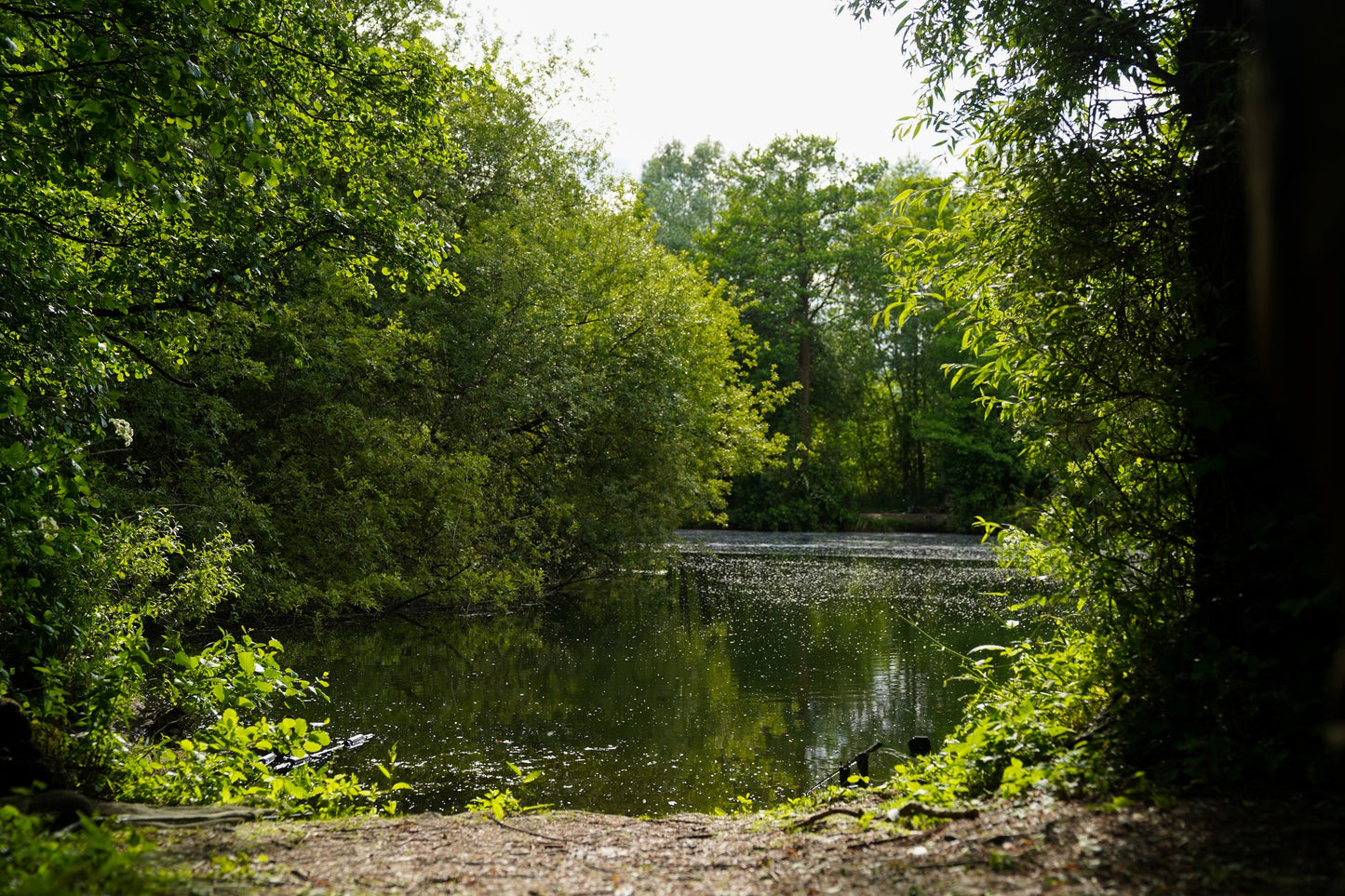 The Famous Burghfield Fishing Complex - Gold Lake 48hrs