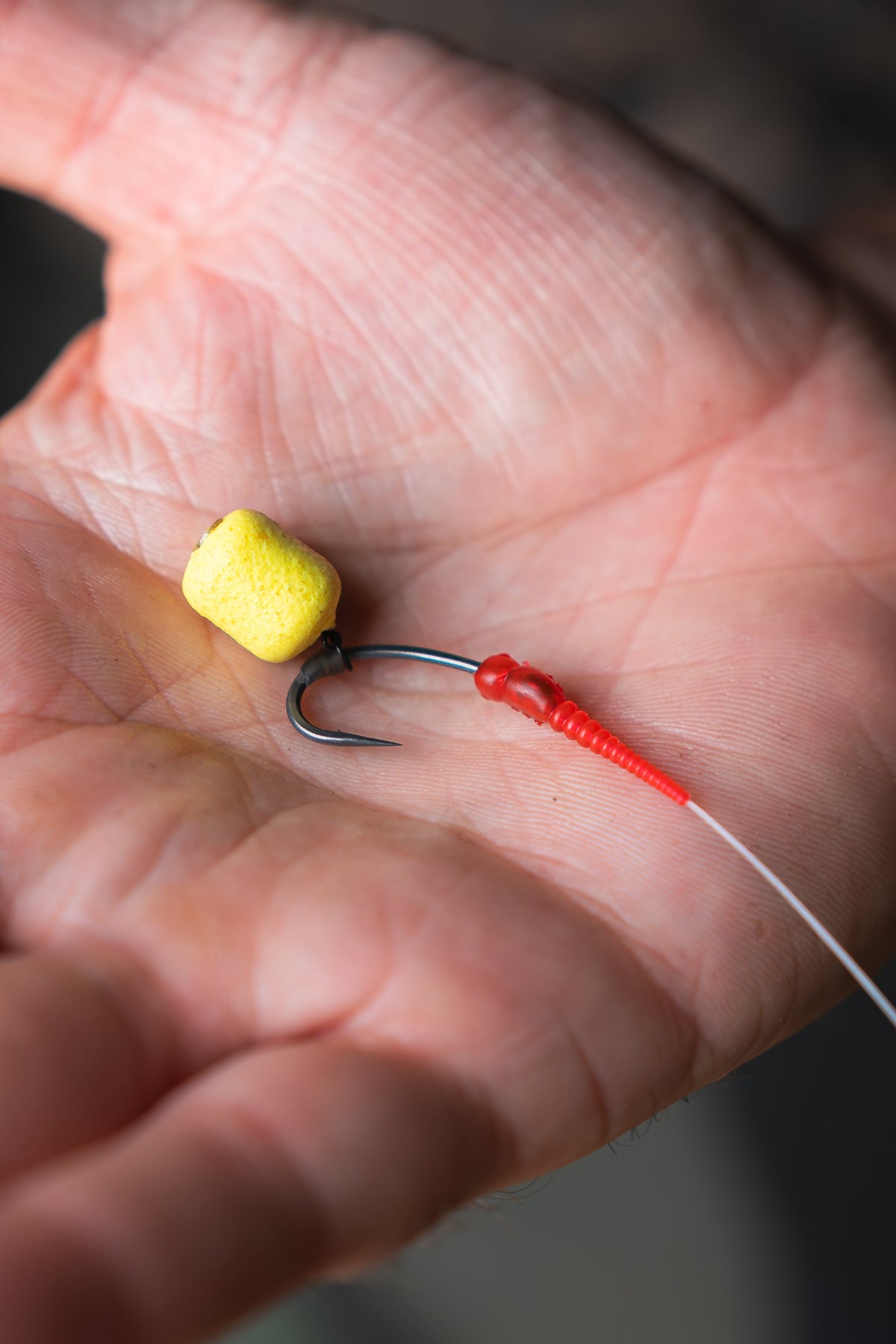 Red Grub Aligner
