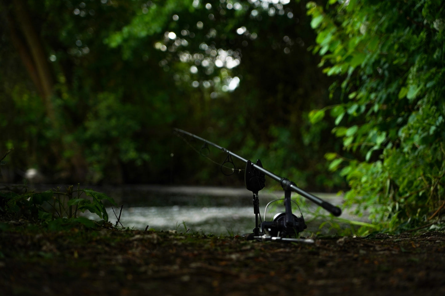 The Famous Burghfield Fishing Complex - Gold Lake 48hrs