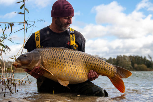 Euro trip - La Botte 2026