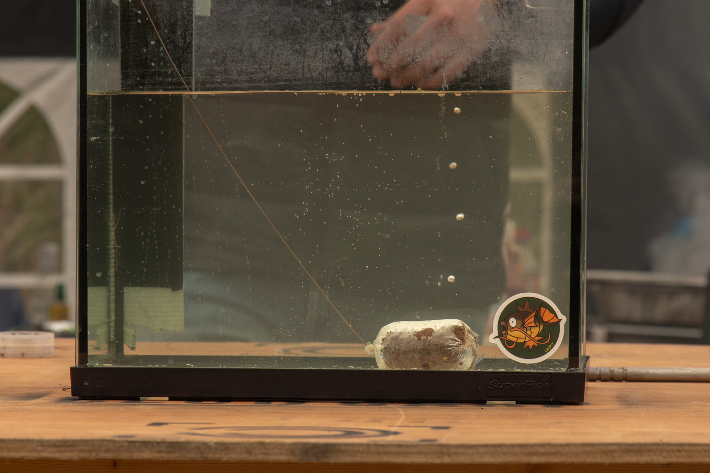 Fully Loaded Beginners Academy @ Stanwick Lakes Fisheries 48hrs