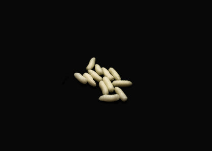 Pop Up Scented Imitation Magots White (Glow in the dark)