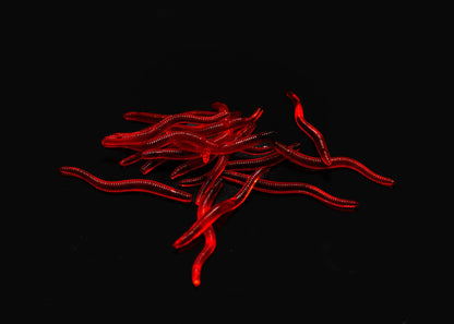 Imitation Earthworms - Butterscotch Scented