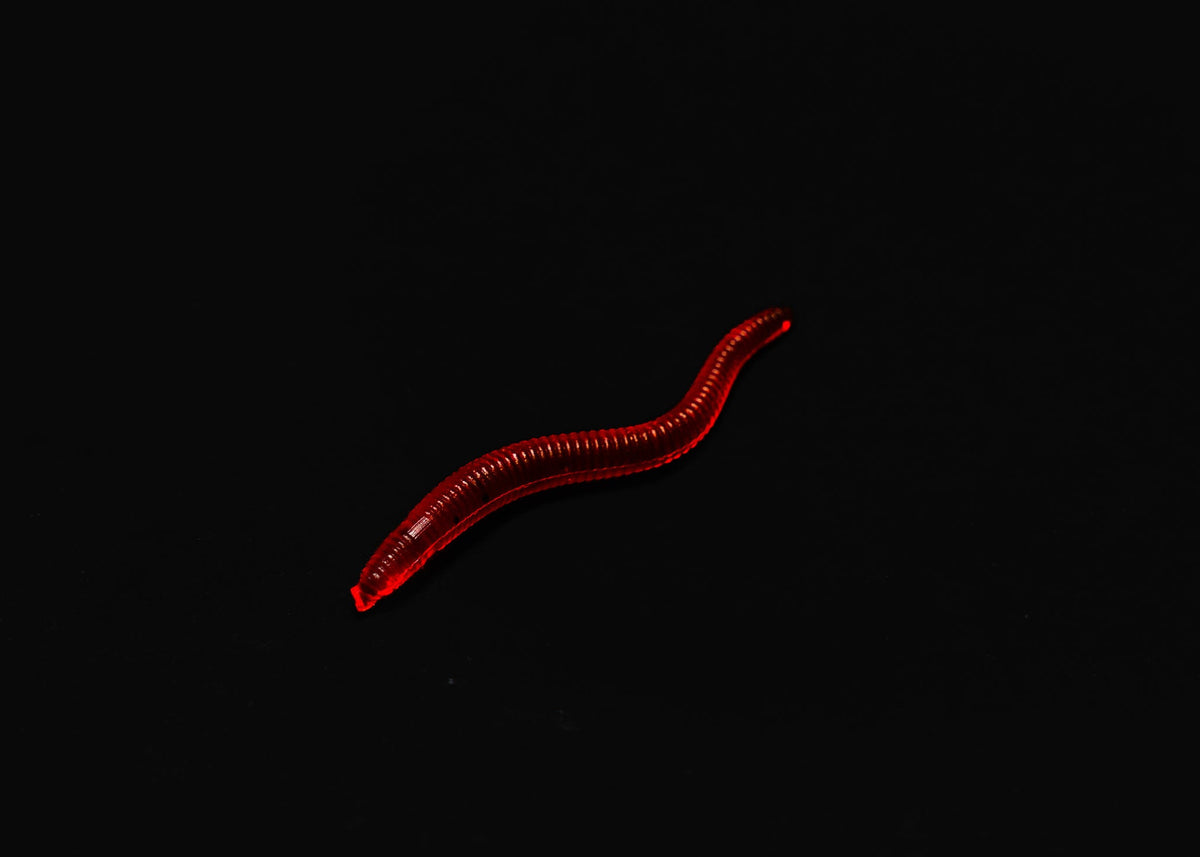Imitation Earthworms - Butterscotch Scented