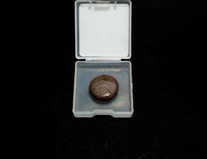 C4 Sticky Putty Brown