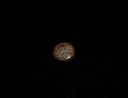 C4 Sticky Putty Brown